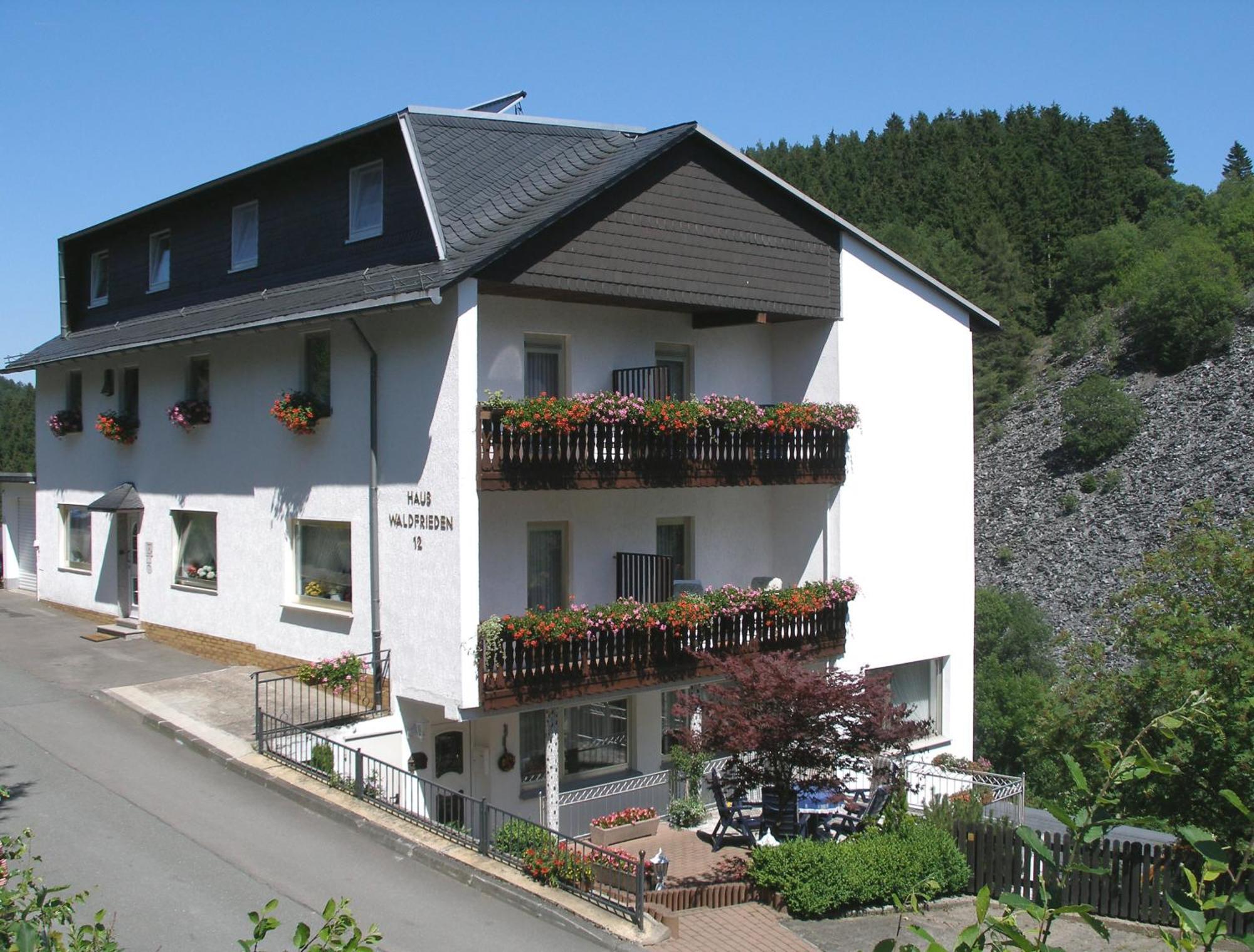 Pension Haus Waldfrieden, Meinecardplus Inklusive ヴィリンゲン エクステリア 写真