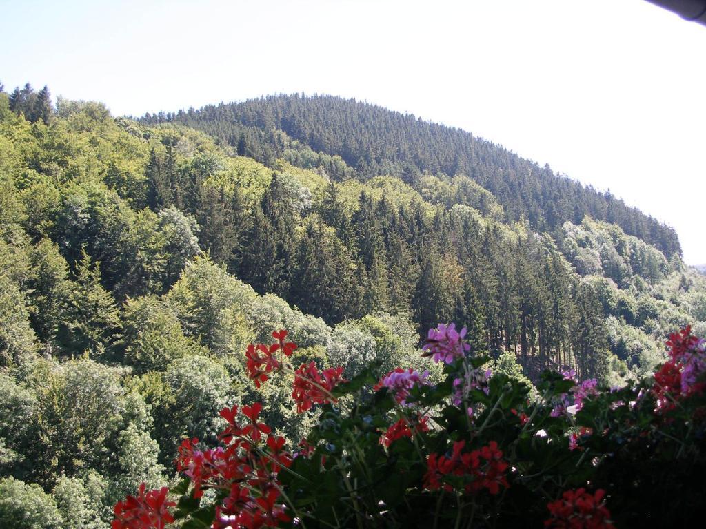 Pension Haus Waldfrieden, Meinecardplus Inklusive ヴィリンゲン エクステリア 写真