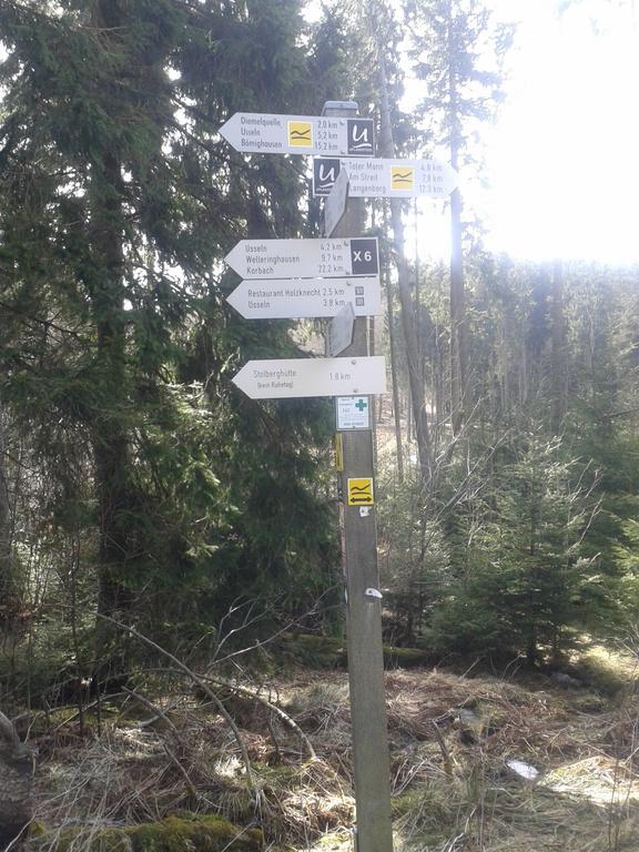 Pension Haus Waldfrieden, Meinecardplus Inklusive ヴィリンゲン エクステリア 写真