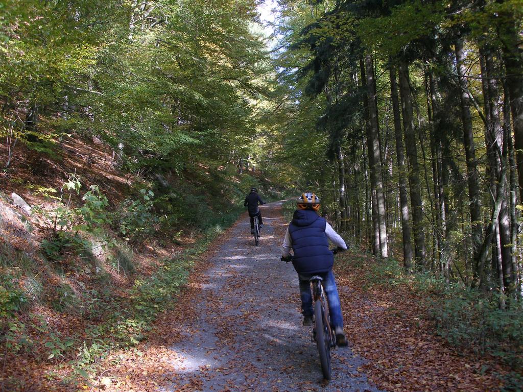 Pension Haus Waldfrieden, Meinecardplus Inklusive ヴィリンゲン エクステリア 写真