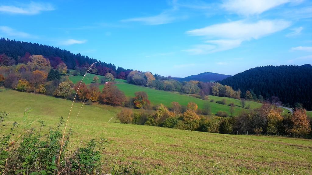 Pension Haus Waldfrieden, Meinecardplus Inklusive ヴィリンゲン エクステリア 写真