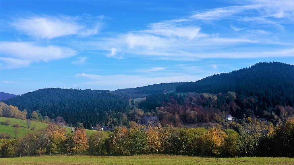 Pension Haus Waldfrieden, Meinecardplus Inklusive ヴィリンゲン エクステリア 写真
