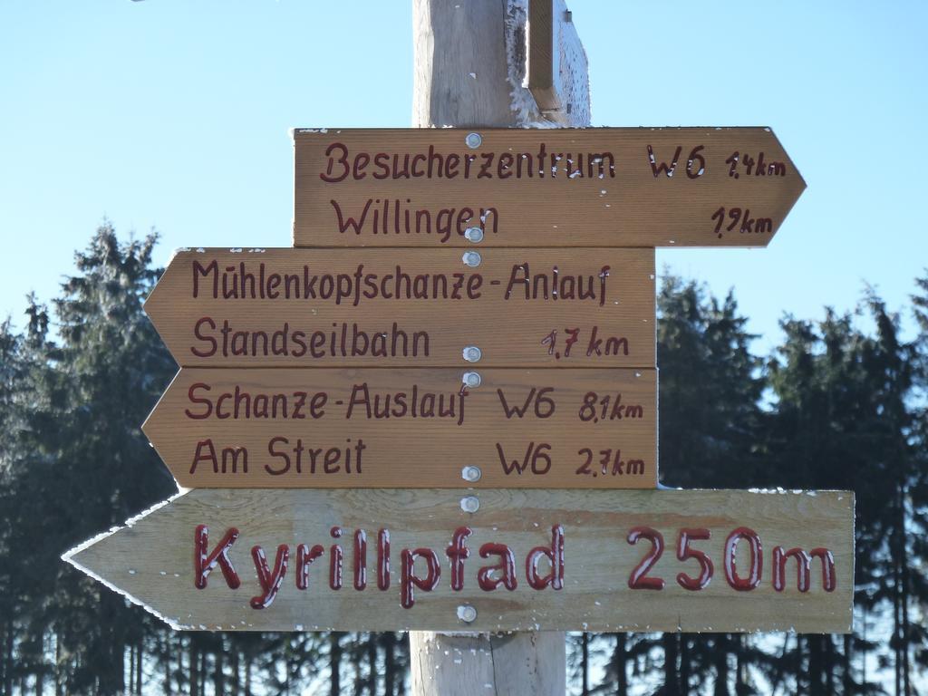 Pension Haus Waldfrieden, Meinecardplus Inklusive ヴィリンゲン エクステリア 写真
