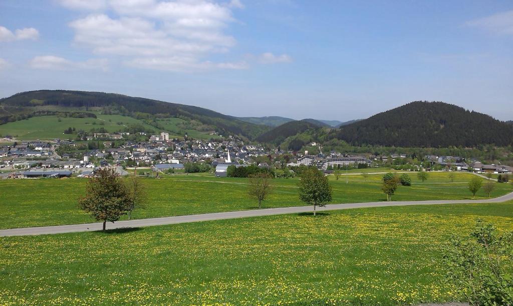 Pension Haus Waldfrieden, Meinecardplus Inklusive ヴィリンゲン エクステリア 写真