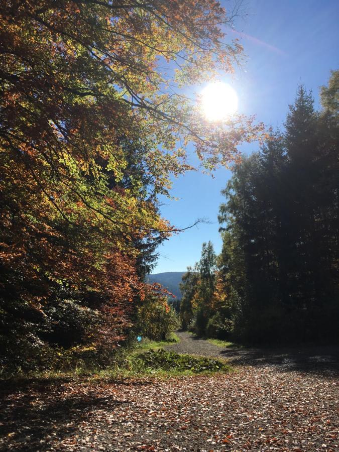 Pension Haus Waldfrieden, Meinecardplus Inklusive ヴィリンゲン エクステリア 写真
