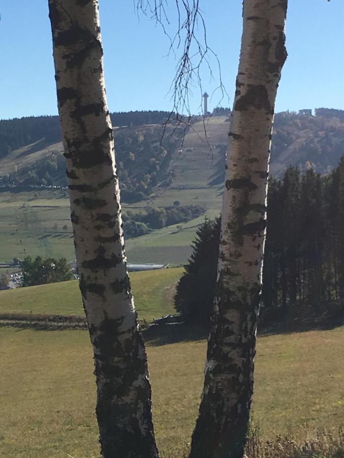 Pension Haus Waldfrieden, Meinecardplus Inklusive ヴィリンゲン エクステリア 写真