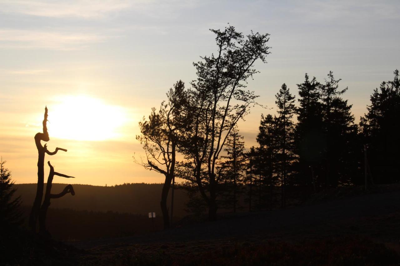 Pension Haus Waldfrieden, Meinecardplus Inklusive ヴィリンゲン エクステリア 写真