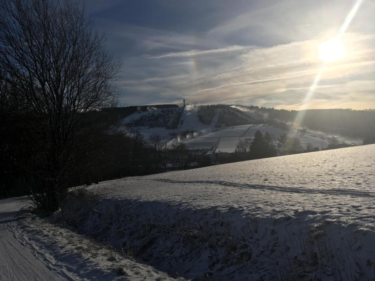 Pension Haus Waldfrieden, Meinecardplus Inklusive ヴィリンゲン エクステリア 写真