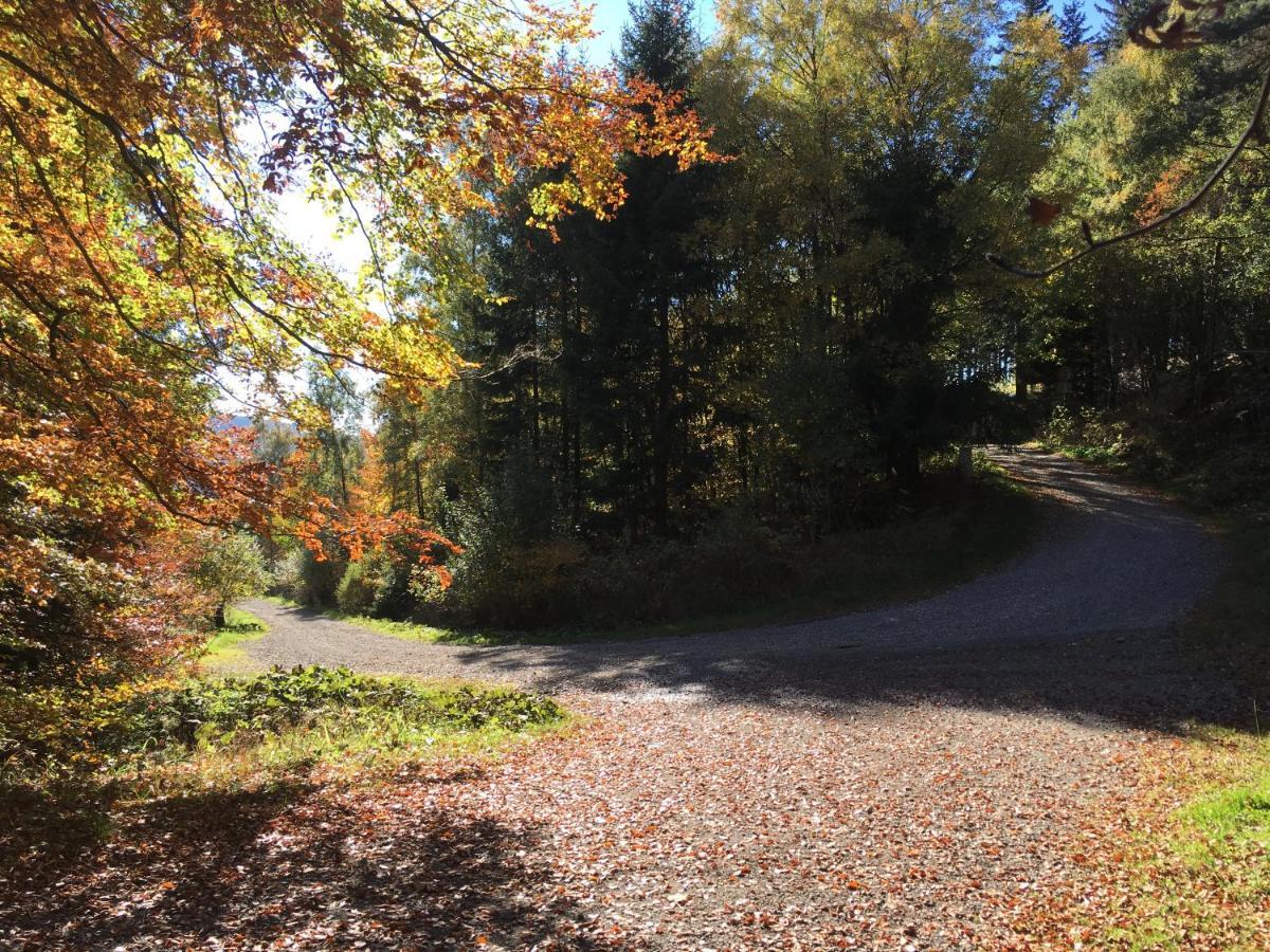 Pension Haus Waldfrieden, Meinecardplus Inklusive ヴィリンゲン エクステリア 写真
